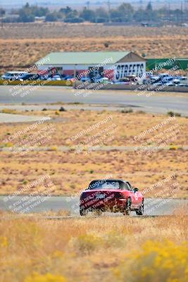 media/Nov-16-2024-Extreme Speed (Sat) [[6587d07cc4]]/Purple Group/Session 1 (Turn 2)/
